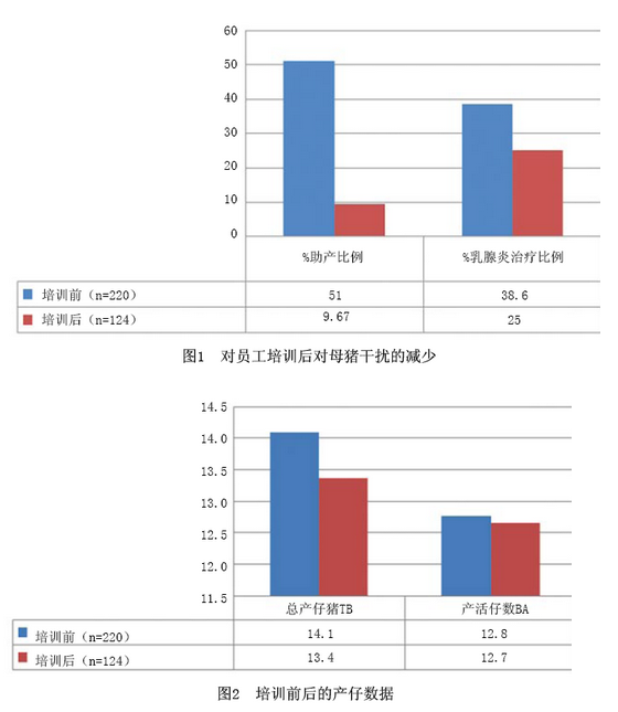 母豬過度管理引起的后果2