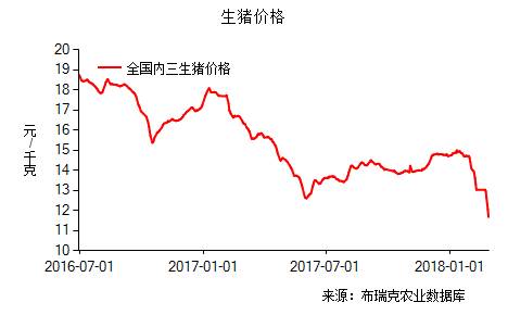 今日全國生豬內(nèi)三平均價格為11.13元/公斤，較昨日下跌0.09元/公斤，外三均價為11.37元/公斤，較昨日下跌0.12元/公斤。